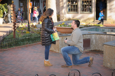 proposal in Gatlinburg